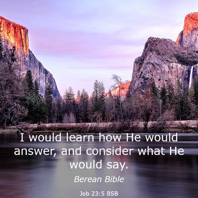 Picture 03 - Job 23:5 BSB - I would learn how He would answer, and consider - Bible Verse Picture