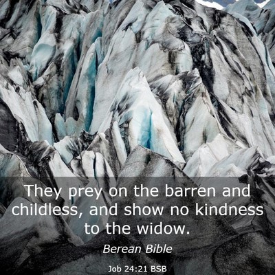 Picture 03 - Job 24:21 BSB - They prey on the barren and childless, and show - Bible Verse Picture
