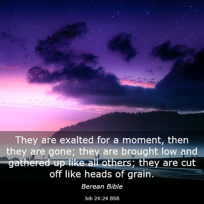 Picture 03 - Job 24:24 BSB - They are exalted for a moment, then they are - Bible Verse Picture