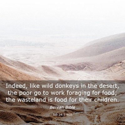 Picture 03 - Job 24:5 BSB - Indeed, like wild donkeys in the desert, the poor - Bible Verse Picture