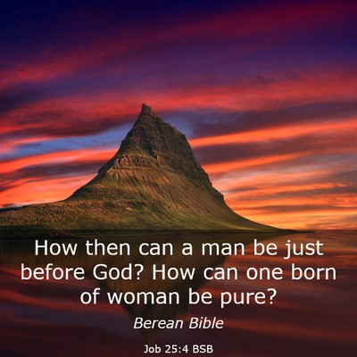 Picture 03 - Job 25:4 BSB - How then can a man be just before God? How can - Bible Verse Picture