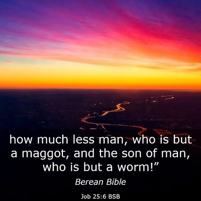 Picture 03 - Job 25:6 BSB - how much less man, who is but a maggot, and the - Bible Verse Picture