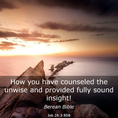 Picture 03 - Job 26:3 BSB - How you have counseled the unwise and provided - Bible Verse Picture