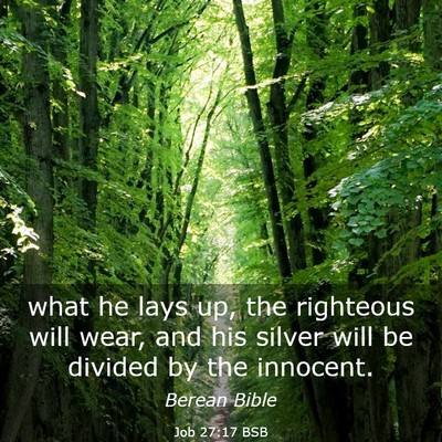 Picture 03 - Job 27:17 BSB - what he lays up, the righteous will wear, and his - Bible Verse Picture