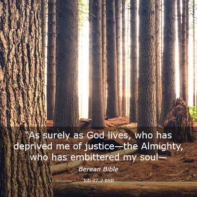 Picture 03 - Job 27:2 BSB - “As surely as God lives, who has deprived me of - Bible Verse Picture