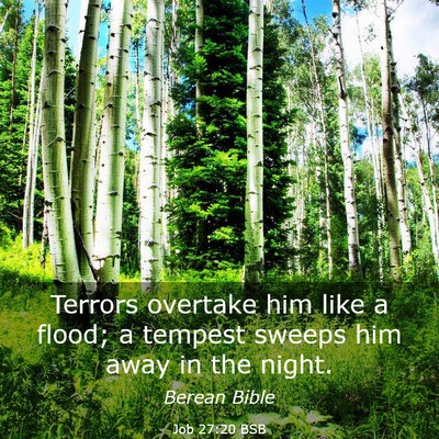 Picture 03 - Job 27:20 BSB - Terrors overtake him like a flood; a tempest - Bible Verse Picture