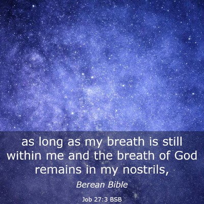 Picture 03 - Job 27:3 BSB - as long as my breath is still within me and the - Bible Verse Picture