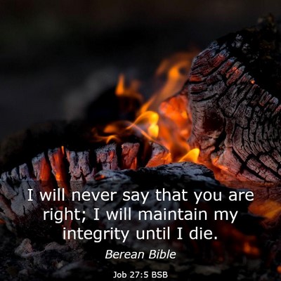 Picture 03 - Job 27:5 BSB - I will never say that you are right; I will - Bible Verse Picture