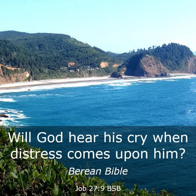 Picture 03 - Job 27:9 BSB - Will God hear his cry when distress comes upon - Bible Verse Picture