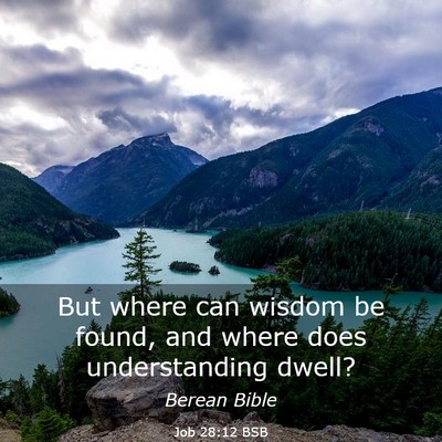 Picture 03 - Job 28:12 BSB - But where can wisdom be found, and where does - Bible Verse Picture