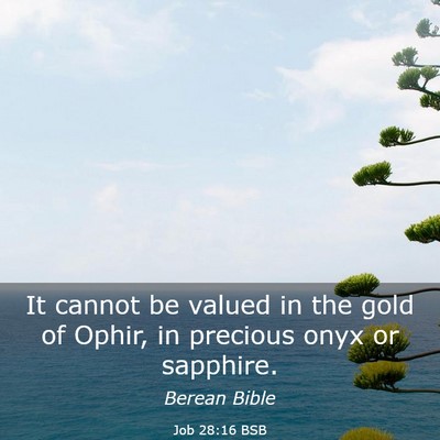 Picture 03 - Job 28:16 BSB - It cannot be valued in the gold of Ophir, in - Bible Verse Picture