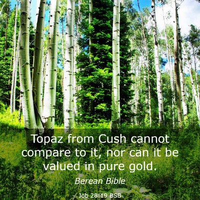 Picture 03 - Job 28:19 BSB - Topaz from Cush cannot compare to it, nor can it - Bible Verse Picture