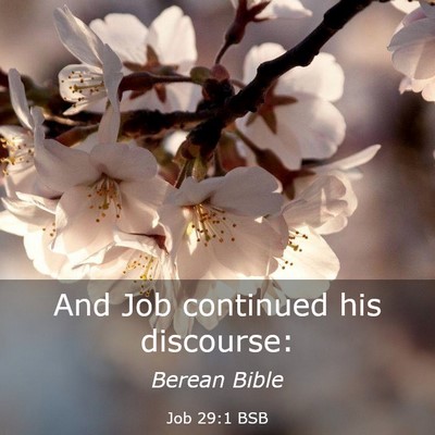 Picture 03 - Job 29:1 BSB - And Job continued his - Bible Verse Picture