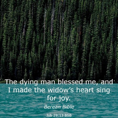 Picture 03 - Job 29:13 BSB - The dying man blessed me, and I made the - Bible Verse Picture