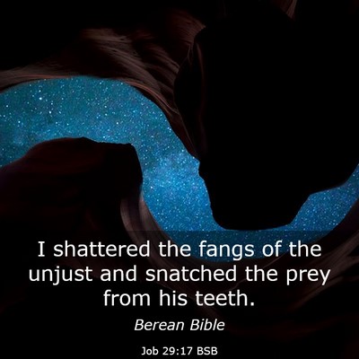 Picture 03 - Job 29:17 BSB - I shattered the fangs of the unjust and snatched - Bible Verse Picture