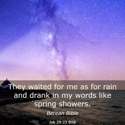 Picture 03 - Job 29:23 BSB - They waited for me as for rain and drank in my - Bible Verse Picture