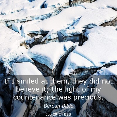 Picture 03 - Job 29:24 BSB - If I smiled at them, they did not believe it; the - Bible Verse Picture