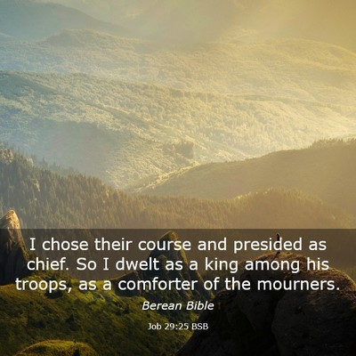 Picture 03 - Job 29:25 BSB - I chose their course and presided as chief. So I - Bible Verse Picture