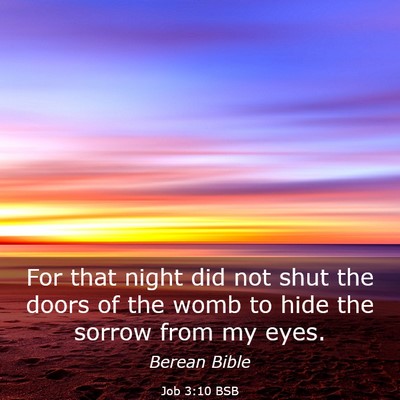 Picture 03 - Job 3:10 BSB - For that night did not shut the doors of the womb - Bible Verse Picture