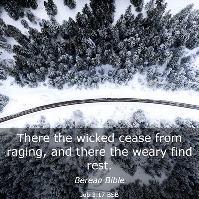 Picture 03 - Job 3:17 BSB - There the wicked cease from raging, and there the - Bible Verse Picture