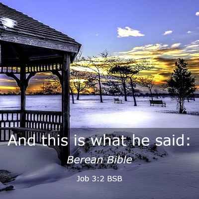 Picture 03 - Job 3:2 BSB - And this is what he - Bible Verse Picture