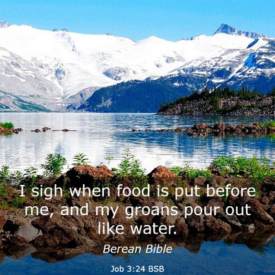 Picture 03 - Job 3:24 BSB - I sigh when food is put before me, and my groans - Bible Verse Picture