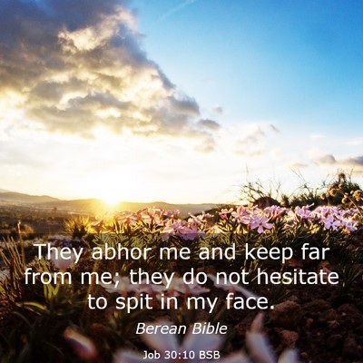 Picture 03 - Job 30:10 BSB - They abhor me and keep far from me; they do not - Bible Verse Picture