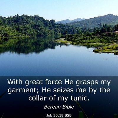 Picture 03 - Job 30:18 BSB - With great force He grasps my garment; He seizes - Bible Verse Picture