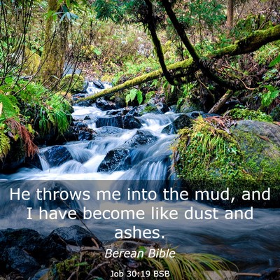 Picture 03 - Job 30:19 BSB - He throws me into the mud, and I have become like - Bible Verse Picture