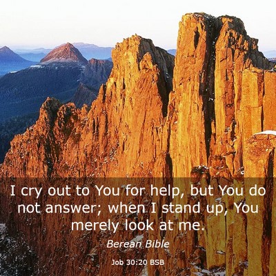 Picture 03 - Job 30:20 BSB - I cry out to You for help, but You do not answer; - Bible Verse Picture