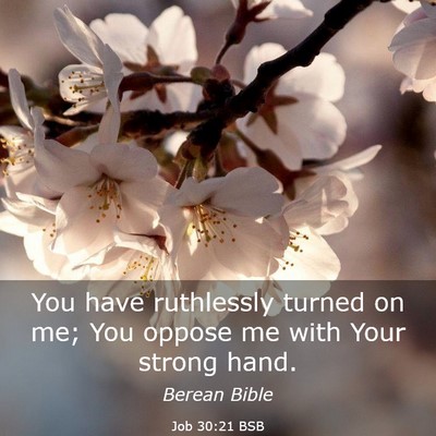 Picture 03 - Job 30:21 BSB - You have ruthlessly turned on me; You oppose me - Bible Verse Picture