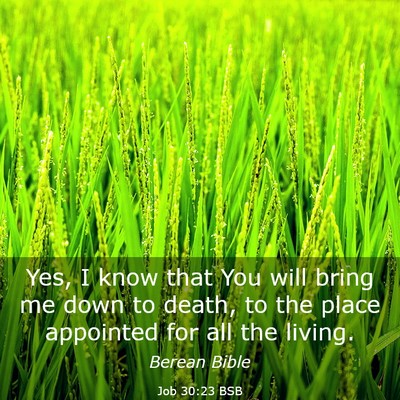 Picture 03 - Job 30:23 BSB - Yes, I know that You will bring me down to death, - Bible Verse Picture