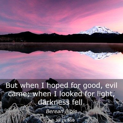 Picture 03 - Job 30:26 BSB - But when I hoped for good, evil came; when I - Bible Verse Picture