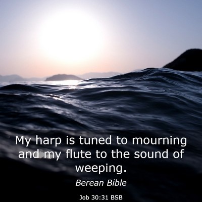 Picture 03 - Job 30:31 BSB - My harp is tuned to mourning and my flute to the - Bible Verse Picture