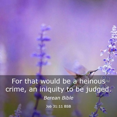 Picture 03 - Job 31:11 BSB - For that would be a heinous crime, an iniquity to - Bible Verse Picture