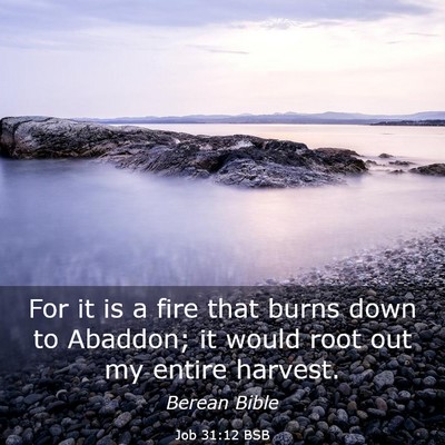 Picture 03 - Job 31:12 BSB - For it is a fire that burns down to Abaddon; it - Bible Verse Picture