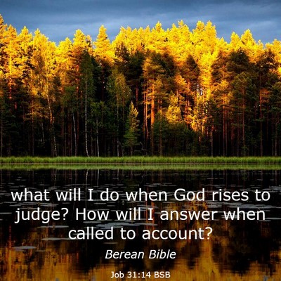 Picture 03 - Job 31:14 BSB - what will I do when God rises to judge? How will - Bible Verse Picture