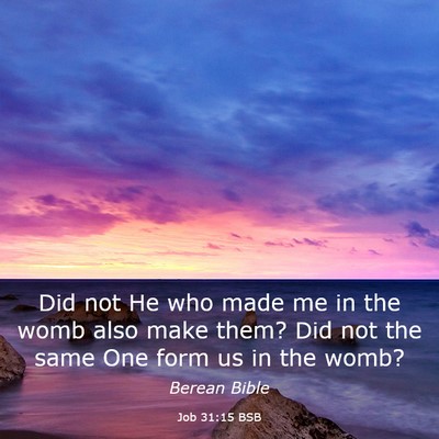 Picture 03 - Job 31:15 BSB - Did not He who made me in the womb also make - Bible Verse Picture