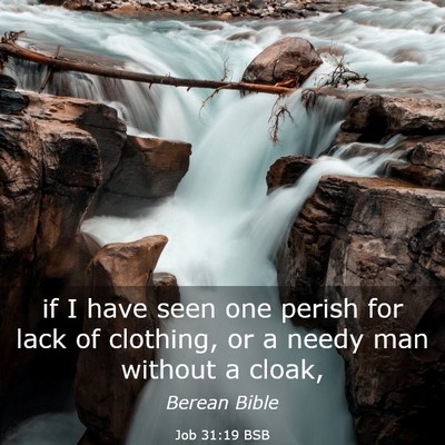 Picture 03 - Job 31:19 BSB - if I have seen one perish for lack of clothing, - Bible Verse Picture