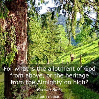 Picture 03 - Job 31:2 BSB - For what is the allotment of God from above, or - Bible Verse Picture