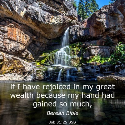 Picture 03 - Job 31:25 BSB - if I have rejoiced in my great wealth because my - Bible Verse Picture