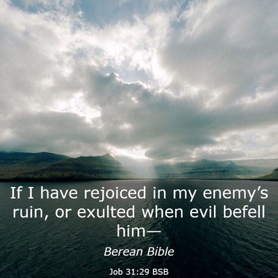 Picture 03 - Job 31:29 BSB - If I have rejoiced in my enemy’s ruin, or - Bible Verse Picture