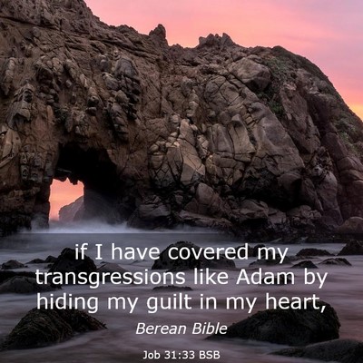 Picture 03 - Job 31:33 BSB - if I have covered my transgressions like Adam by - Bible Verse Picture