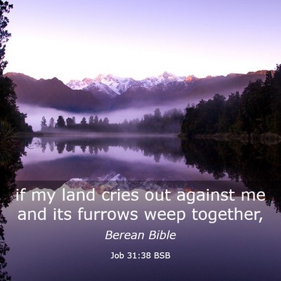 Picture 03 - Job 31:38 BSB - if my land cries out against me and its furrows - Bible Verse Picture