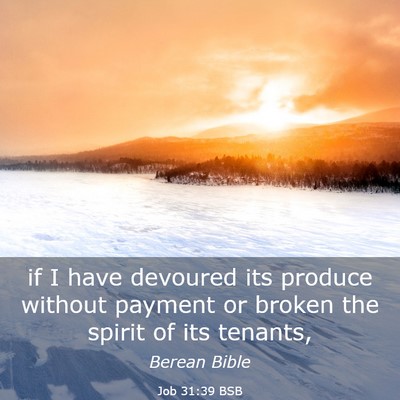 Picture 03 - Job 31:39 BSB - if I have devoured its produce without payment or - Bible Verse Picture