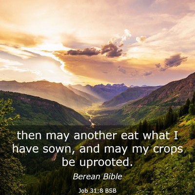 Picture 03 - Job 31:8 BSB - then may another eat what I have sown, and may my - Bible Verse Picture