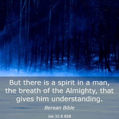Picture 03 - Job 32:8 BSB - But there is a spirit in a man, the breath of the - Bible Verse Picture