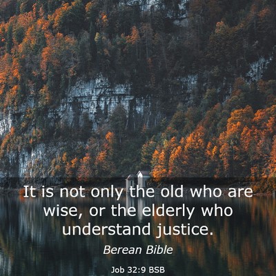 Picture 03 - Job 32:9 BSB - It is not only the old who are wise, or the - Bible Verse Picture