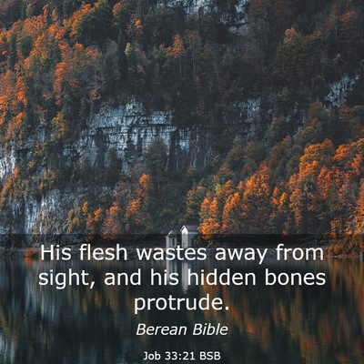 Picture 03 - Job 33:21 BSB - His flesh wastes away from sight, and his hidden - Bible Verse Picture
