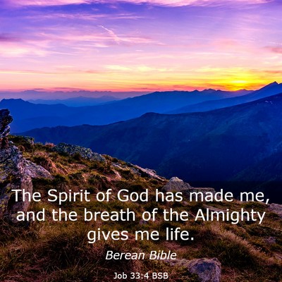 Picture 03 - Job 33:4 BSB - The Spirit of God has made me, and the breath of - Bible Verse Picture